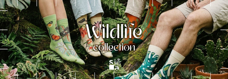 Exploring the Shapes of the New Botanical Collection
