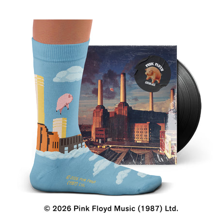 Pink Floyd Animals Socks