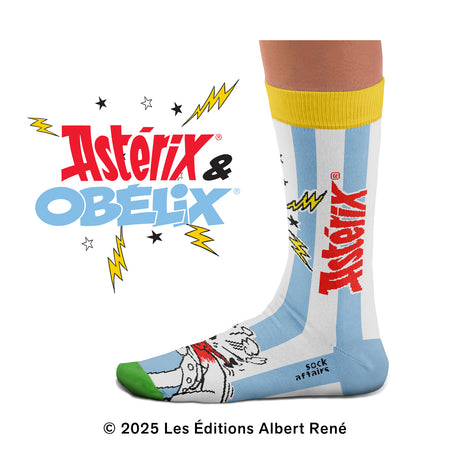 Astérix & Obélix Duet