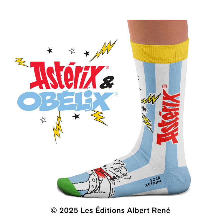 Astérix & Obélix Duet