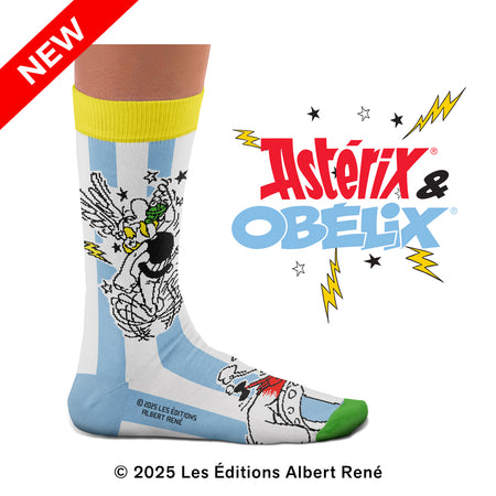 Astérix & Obélix Duet