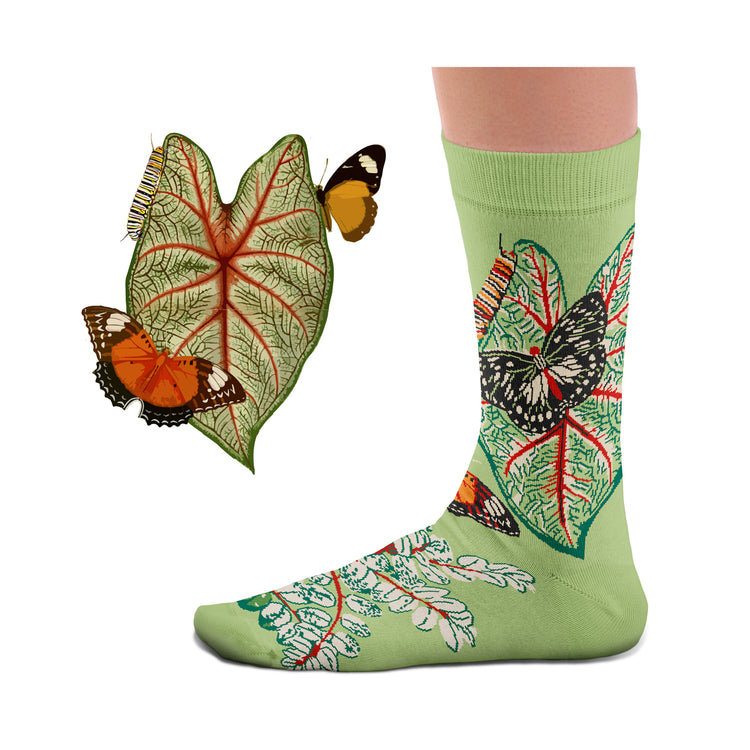 Leaves Socks