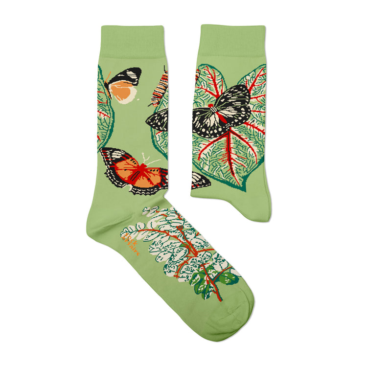 Leaves Socks