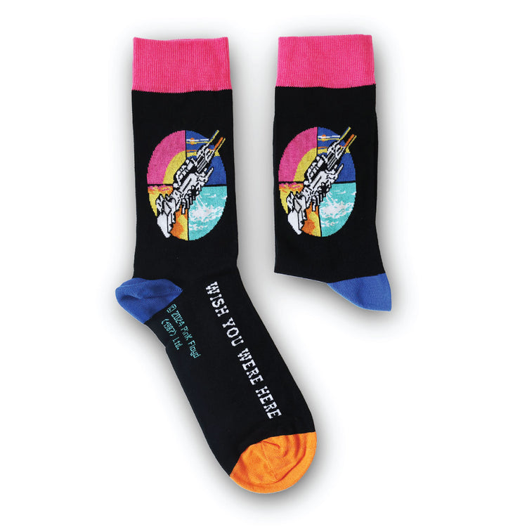 Pink Floyd Wish You Were Here Socks