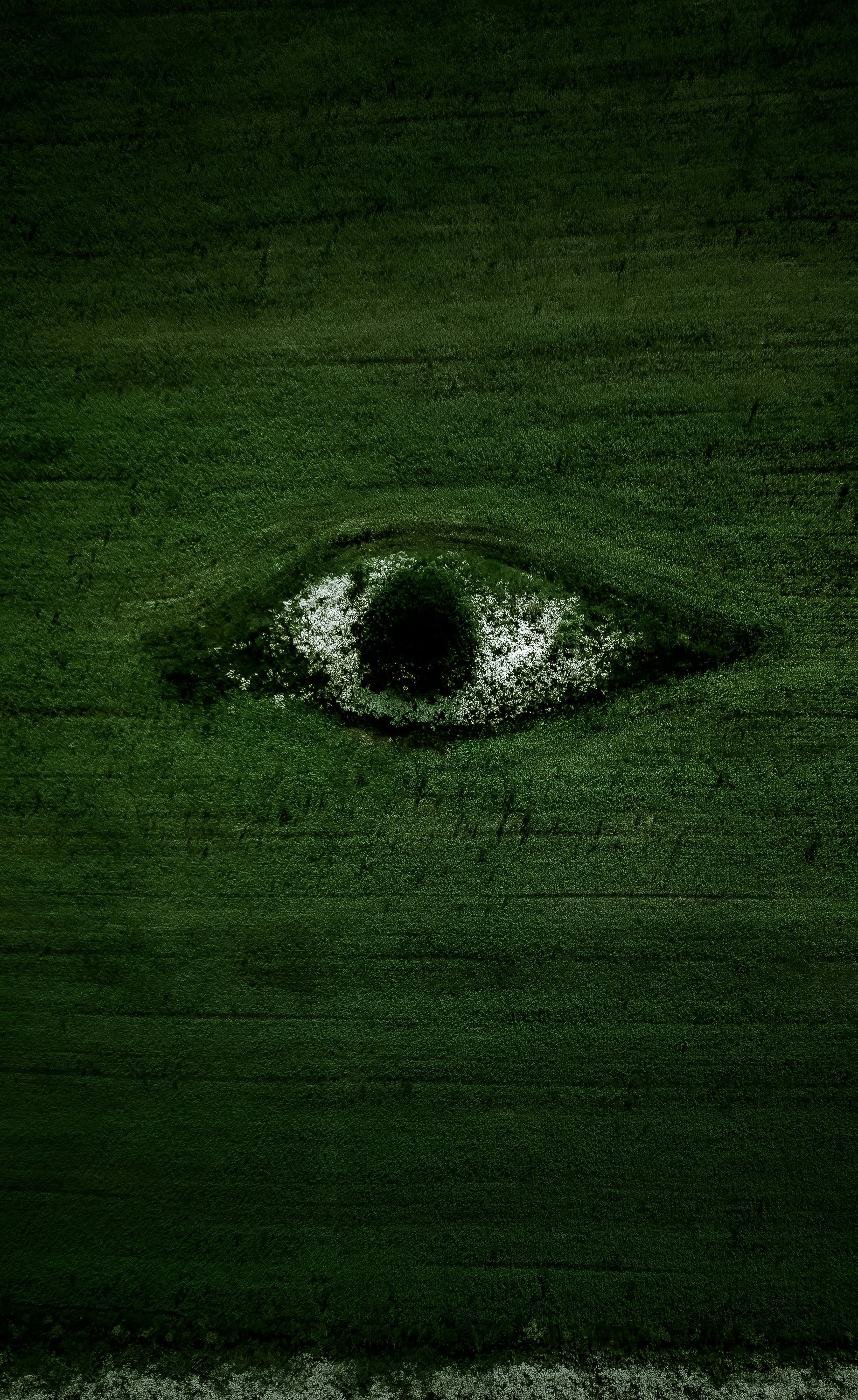 Green Eye